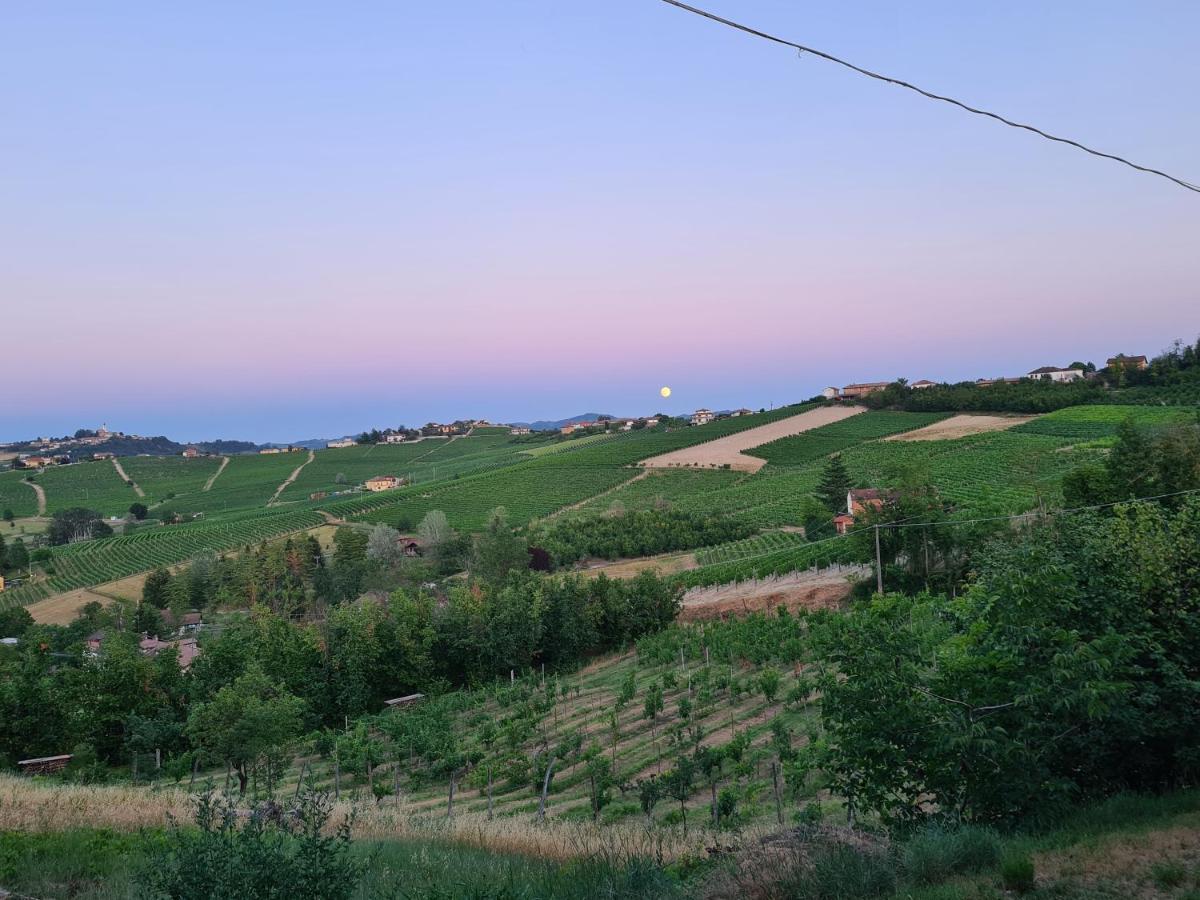 Tenuta Dei Vicini - Luxury Apartments San Marzano Oliveto Kültér fotó